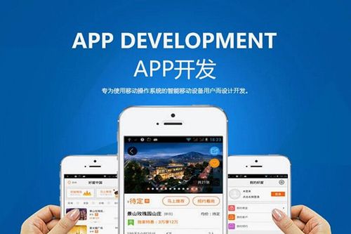 电商app定制开发哪家公司好